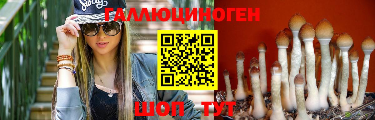 Славянск-на-Кубани  сколько стоит  Вход с VPN  Галлюциногенные грибы Magic Shrooms 